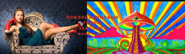 гидропоника Волоколамск